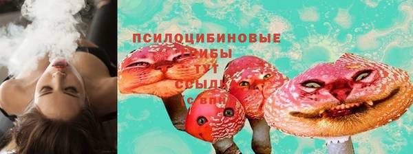 стафф Алзамай